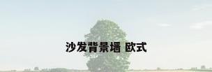 沙发背景墙 欧式