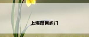 上海船用阀门