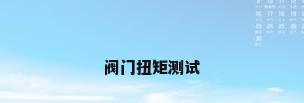 阀门扭矩测试