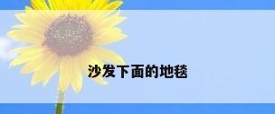 沙发下面的地毯