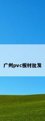 广州pvc板材批发