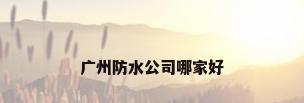 广州防水公司哪家好