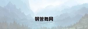 钢管舞网