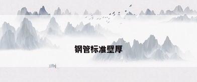 钢管标准壁厚
