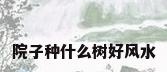 院子种什么树好风水