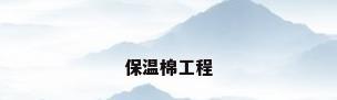 保温棉工程