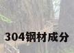 304钢材成分