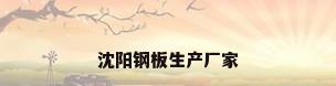 沈阳钢板生产厂家