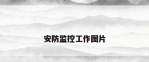 安防监控工作图片