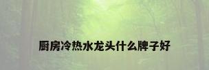 厨房冷热水龙头什么牌子好