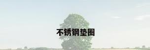 不锈钢垫圈