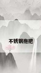 不锈钢拖把