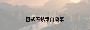 卧式不锈钢自吸泵