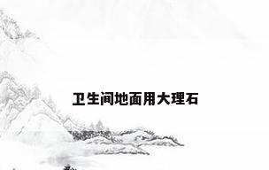 卫生间地面用大理石