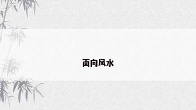 面向风水