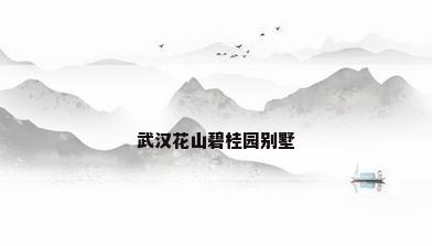 武汉花山碧桂园别墅