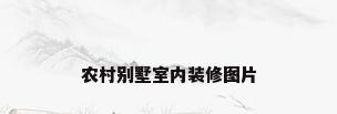 农村别墅室内装修图片