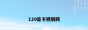 120目不锈钢网