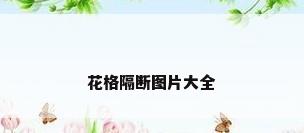 花格隔断图片大全