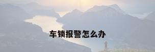 车锁报警怎么办