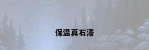 保温真石漆