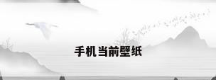 手机当前壁纸