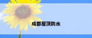 成都屋顶防水