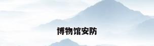 博物馆安防