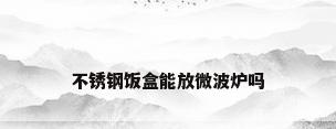 不锈钢饭盒能放微波炉吗