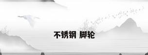 不锈钢 脚轮