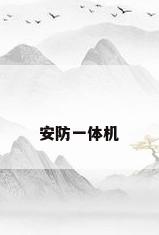 安防一体机