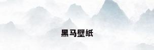 黑马壁纸