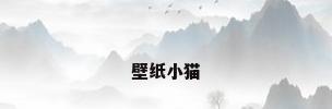 壁纸小猫