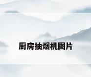 厨房抽烟机图片