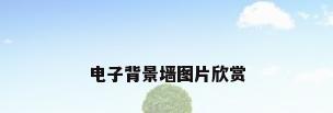 电子背景墙图片欣赏