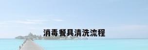 消毒餐具清洗流程