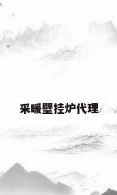 采暖壁挂炉代理