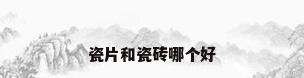 瓷片和瓷砖哪个好