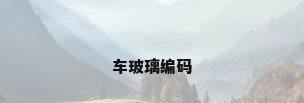 车玻璃编码