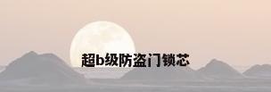 超b级防盗门锁芯