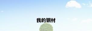 我的钢材