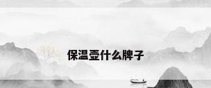 保温壶什么牌子