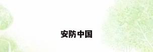 安防中国