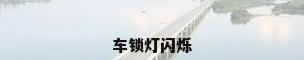 车锁灯闪烁