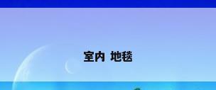 室内 地毯