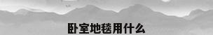 卧室地毯用什么