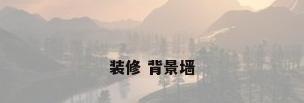 装修 背景墙