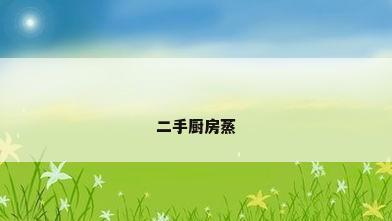二手厨房蒸