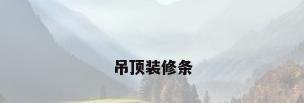 吊顶装修条