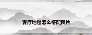 客厅地毯怎么搭配图片
